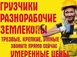 Разнорабочий, вывоз, демонтаж, уборка,спил, корчевание, земляные , грузчик,
