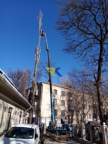 spilim-obrezem-derevia-udalim-porosli-big-2