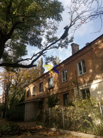 spilim-obrezem-derevia-udalim-porosli-big-1