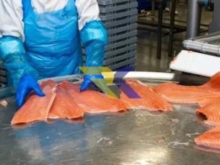 Шоковая заморозка,низькотемпературні камери для переробки риби