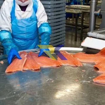 sokovaia-zamorozkanizkotemperaturni-kameri-dlia-pererobki-ribi-big-0