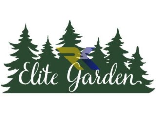 Саджанці хвойних дерев та квітів