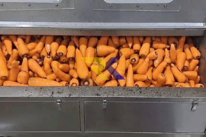 masina-dlia-mittia-ta-ocishhennia-koreneplodiv-stvega-cb-f1200-big-4