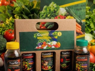 Золота лінійка мікродобрив GumiSil Trio для городу